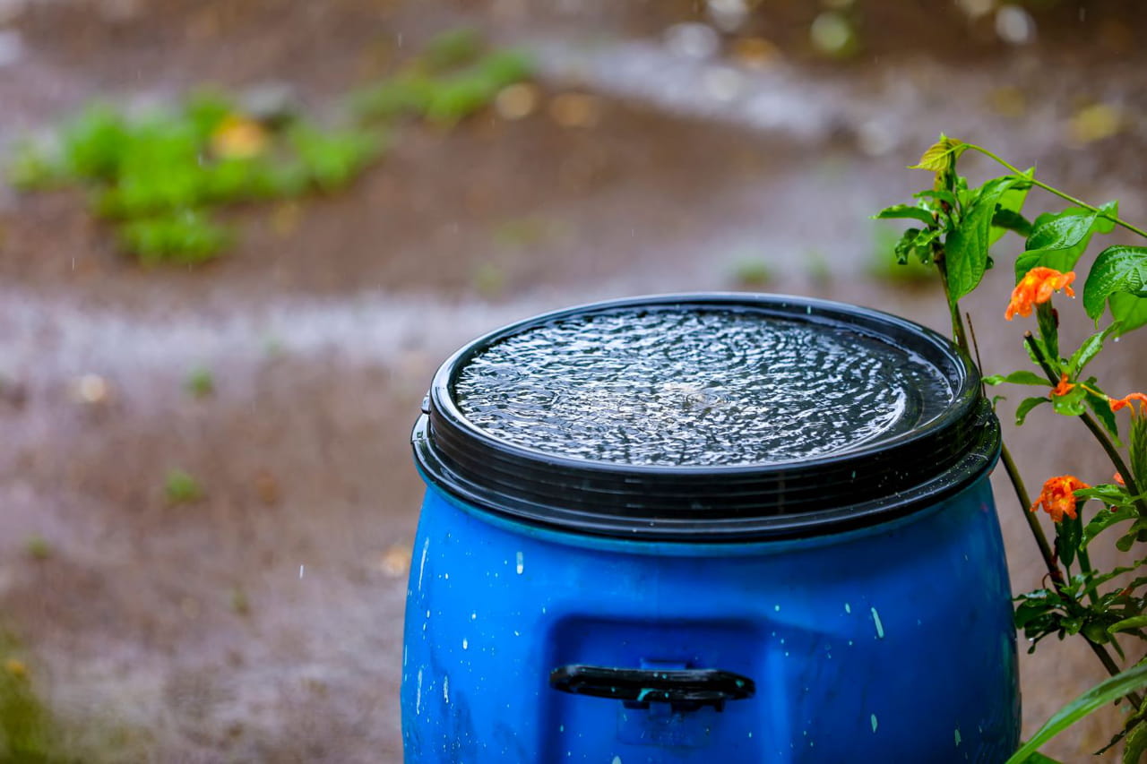 Voici tout ce que vous n'avez pas le droit de faire avec l'eau de pluie