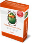 Télécharger Data Recovery Pro