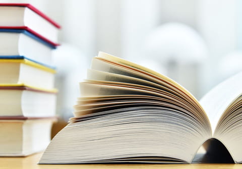 Ces mots n'existent pas en &quot;bon&quot; fran&ccedil;ais, mais tout le monde les utilise