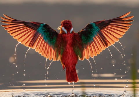 Gemini peut d&eacute;sormais retoucher vos photos sur une simple consigne