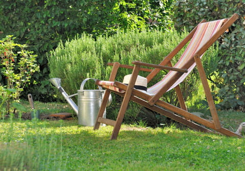Cet oubli tout b&ecirc;te peut transformer votre jardin en enfer cet &eacute;t&eacute;