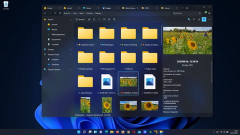 Files&nbsp;: le meilleur explorateur de fichiers pour Windows