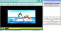 Télécharger AnvSoft Web FLV Player Freeware