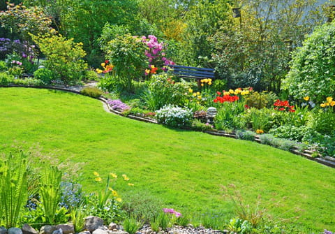 Ce d&eacute;chet de cuisine ravive vos plantes et votre pelouse - c'est l'astuce &eacute;conomique des jardiniers anglais