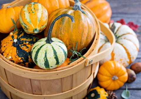 Ces d&eacute;licieux l&eacute;gumes d'automne ont une qualit&eacute; rare que vous ne soup&ccedil;onnez pas