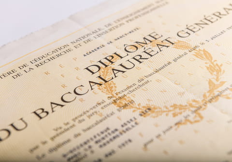 Bac 2025&nbsp;: voici o&ugrave; et comment consulter les r&eacute;sultats en ligne gratuitement
